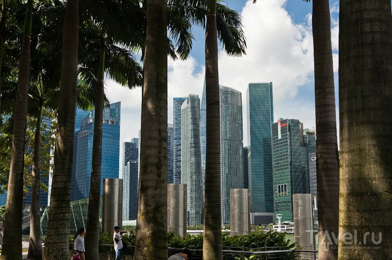 Сингапур - мечта урбаниста / Фото из Сингапура