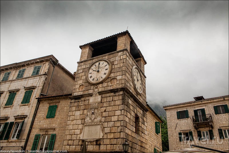 Город Котор, которому к лицу облака / Фото из Черногории
