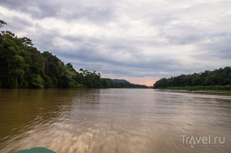 Малайзия. Остров Борнео. Поездка по реке Кинабатанган / Фото из Малайзии