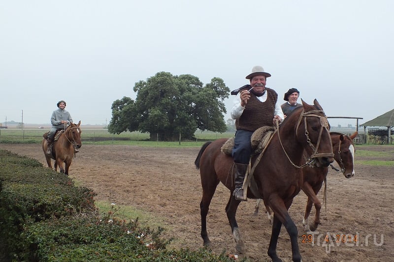 Аргентина. Поездка на ранчо к гаучо / Аргентина