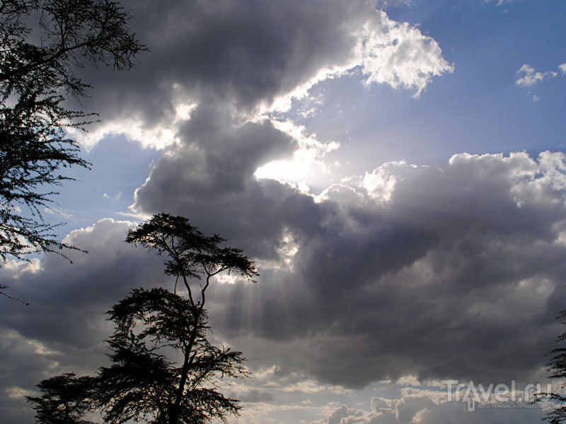 Большая Рифтовая долина и Озеро Пеликанов / Кения
