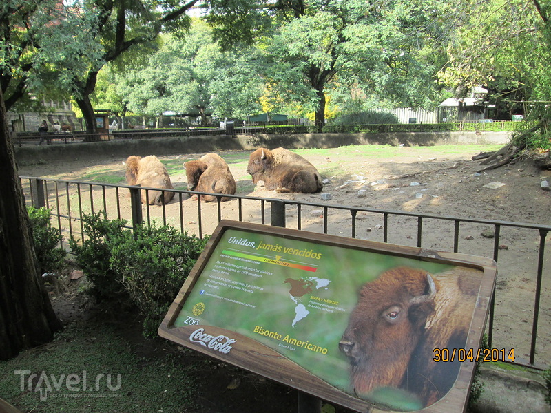 Буэнос-Айрес. Зоопарк / Аргентина
