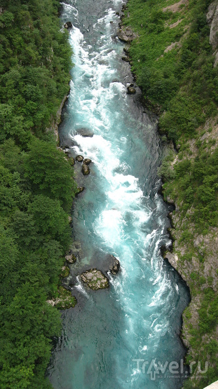 Река Пива - черногорская красотка с бурным нравом / Фото из Черногории