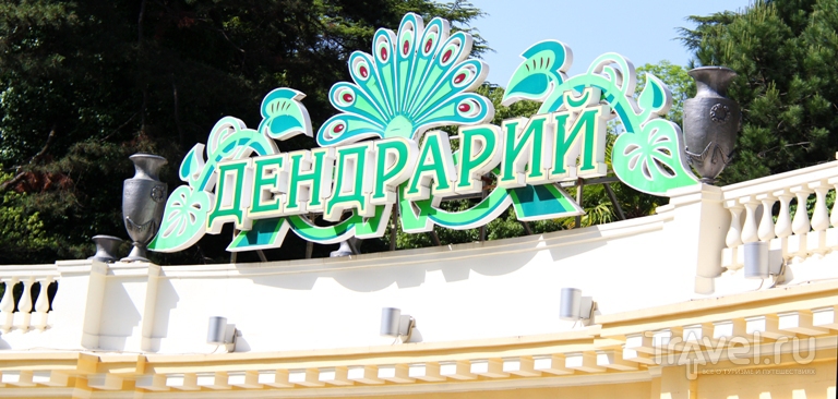 Дендрарий. Сочи / Россия