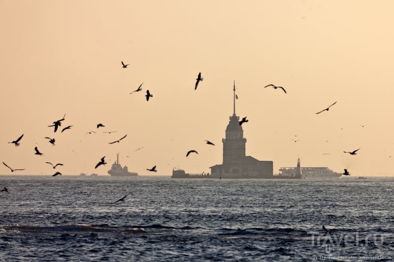 От Золотого Рога до Чёрного моря / Фото из Турции