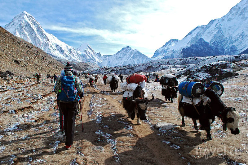 Отличия трека вокруг Аннапурны и трека к базовому лагерю Эвереста / Непал