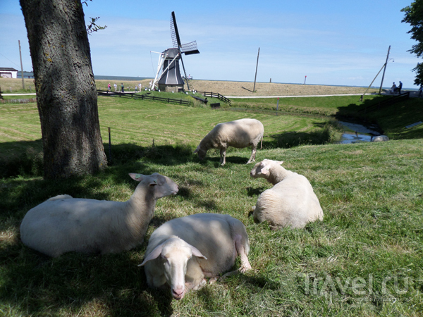 Энкхейзен (Голландия): один день в рыбацкой деревне прошлого века / Нидерланды