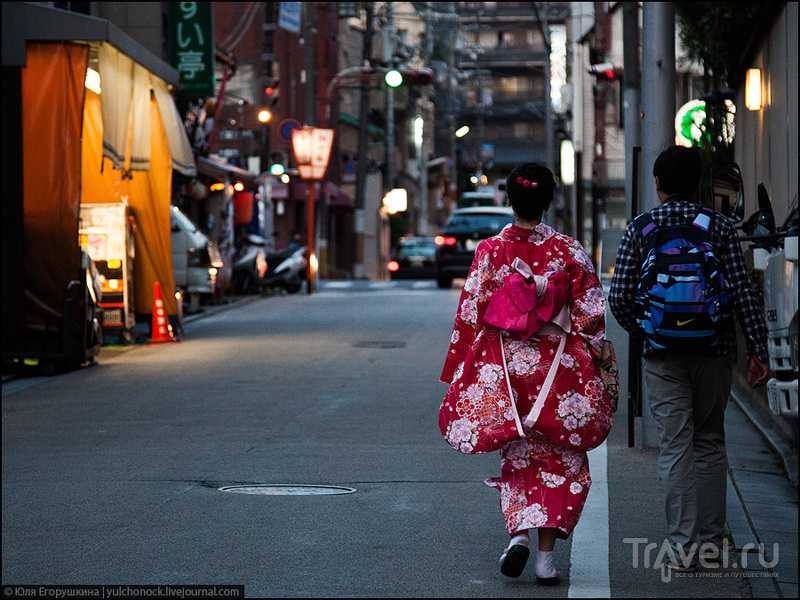 Сакура - весенняя прохлада... / Фото из Японии