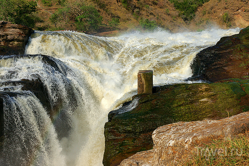 : Murchison falls national park /   