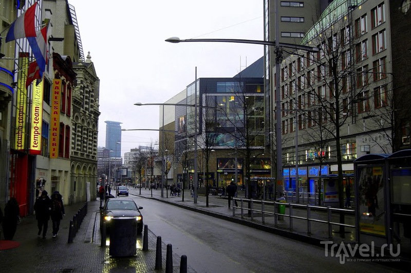 Гаага - зимой. Зимняя прогулка по королевской столице / Нидерланды