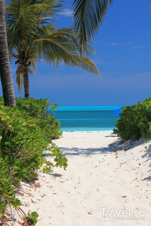 Багамы: остров Абако, или очередной борщ на Карибах / Багамские острова