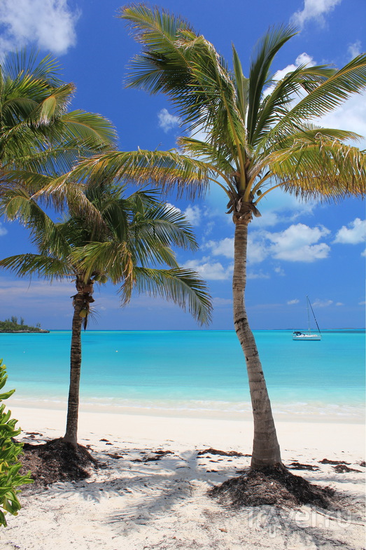 Багамы: остров Абако, или очередной борщ на Карибах / Багамские острова