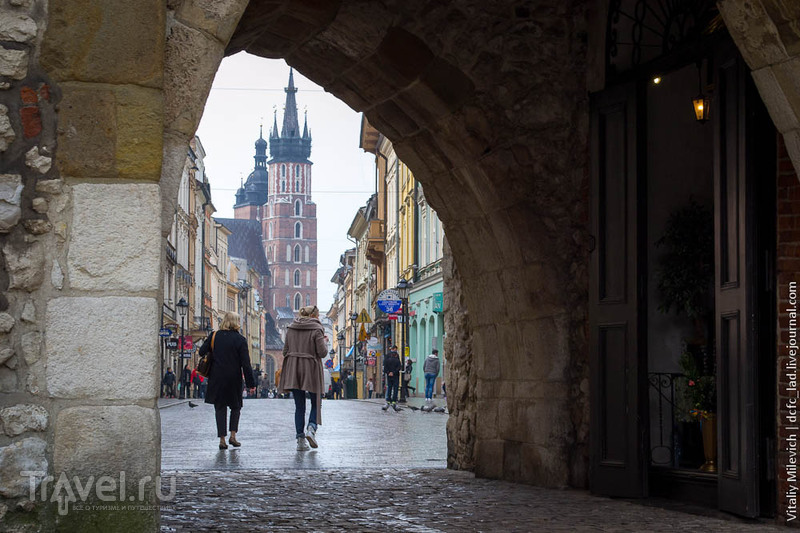 Королевская дорога, или как посмотреть Краков за два часа / Фото из Польши