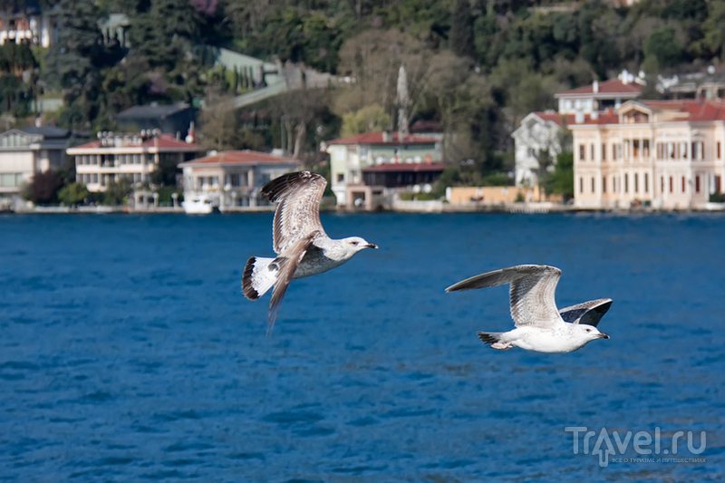 Istanbul was Constaninople / Турция