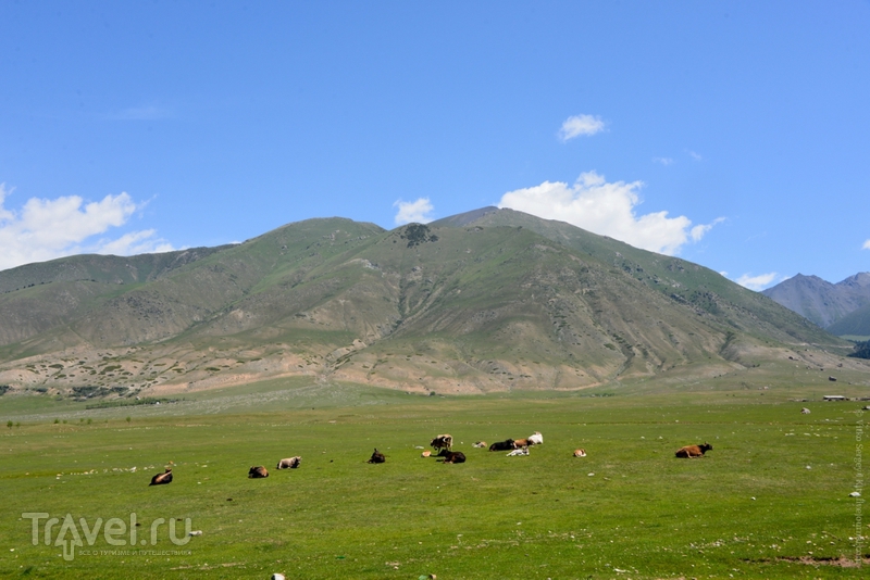 Киргизская швейцария / Фото из Киргизии