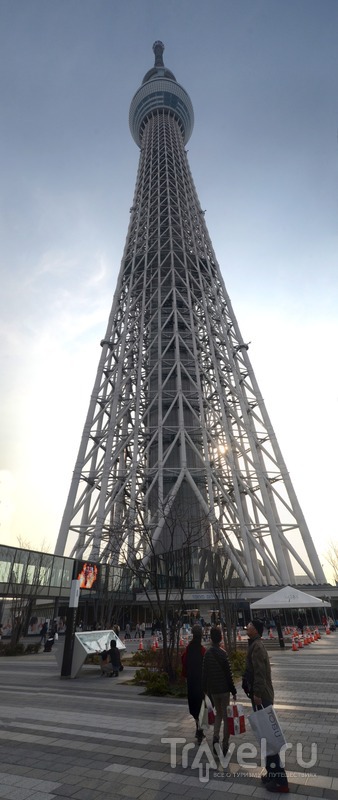 Небесное дерево, или Токио с высоты 650 метров / Япония