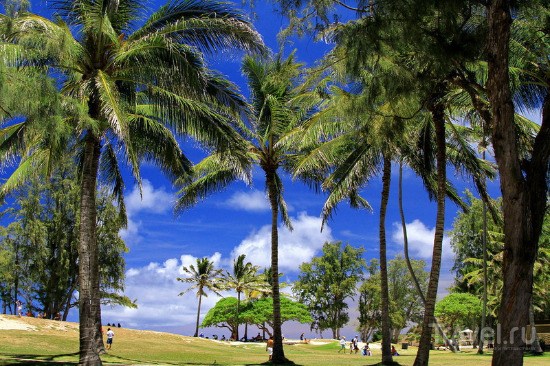 Восточное побережье Оаху, Kailua Beach Park / США