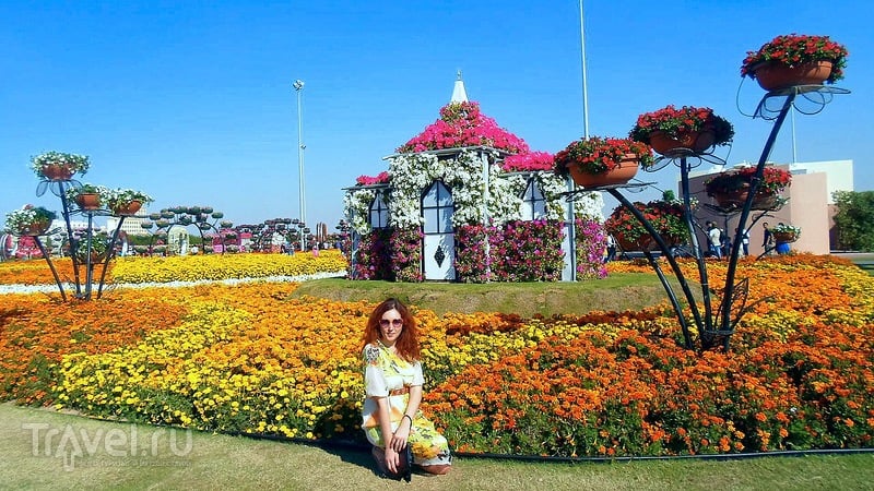 Miracle Garden.    / 