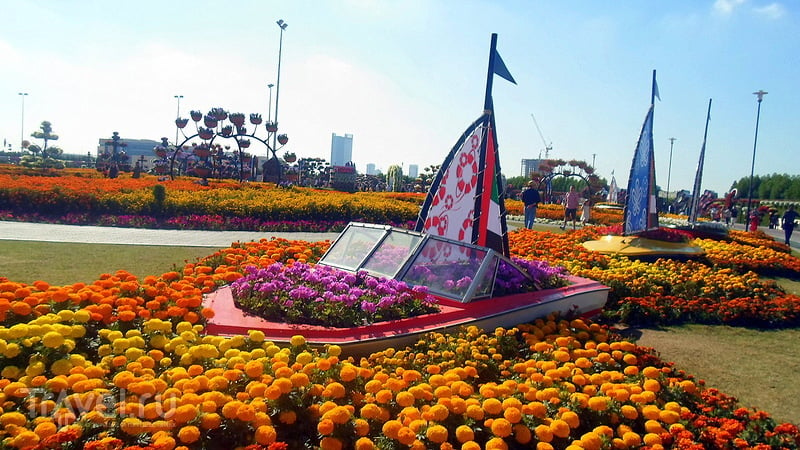 Miracle Garden.    / 