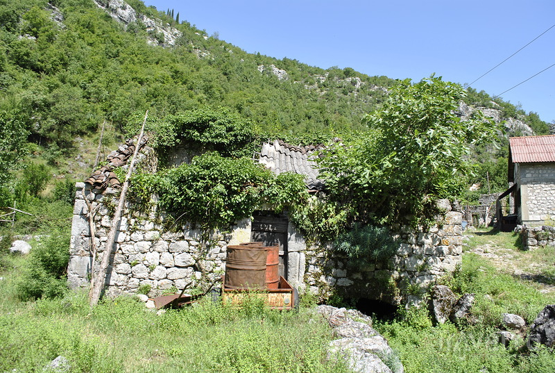 Поселяни на Скадарском озере - так выглядит настоящая Черногория / Фото из Черногории