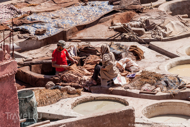 Кожевенное производство в Марракеше / Фото из Марокко