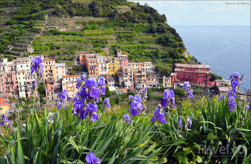 Vernazza и Manarola. Cinque Terre. Лигурия / Фото из Италии