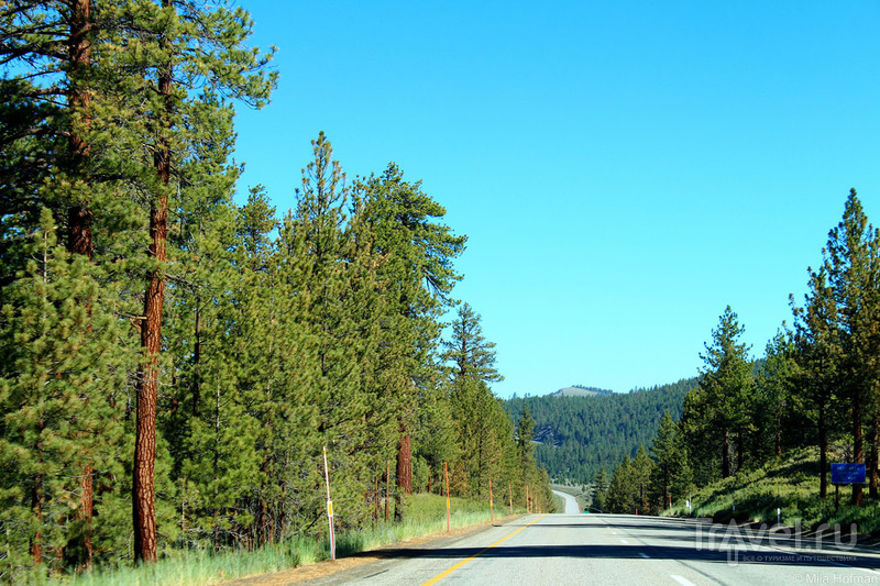 Eastern Sierra.   /   