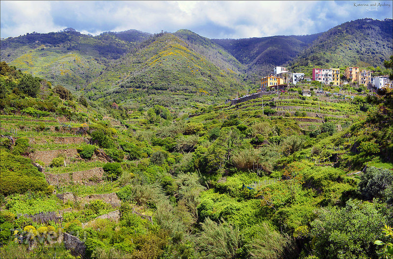 Riomaggiore  Corniglia. Cinque Terre.  /   