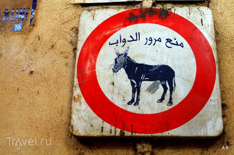 No problem Morocco / 