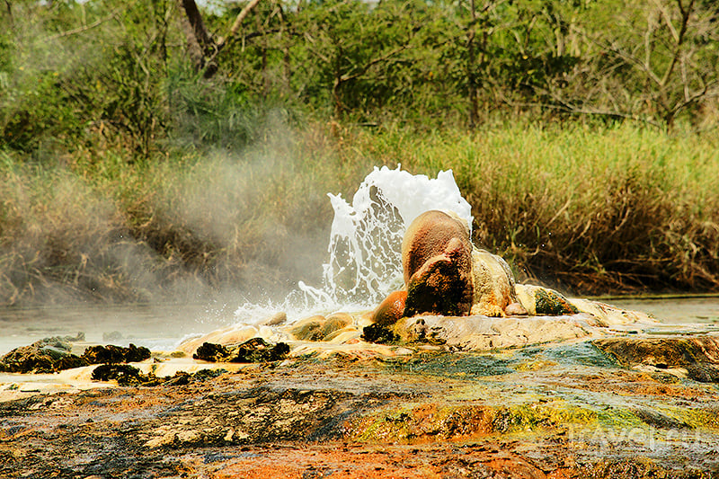 : Semuliki national park /   