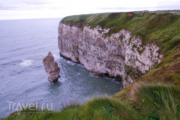 Bempton Cliffs - птичий заповедник в Йоркшире / Великобритания