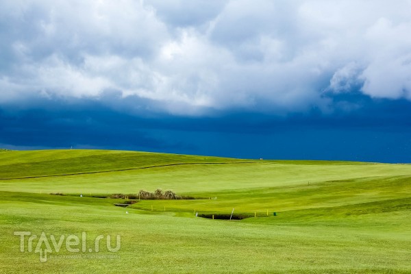 Bempton Cliffs -     / 