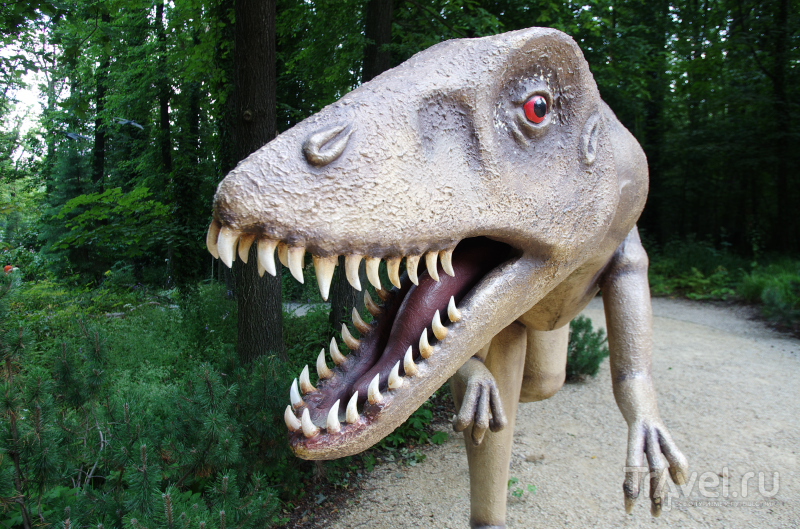 Парк динозавров в Германии / Фото из Германии