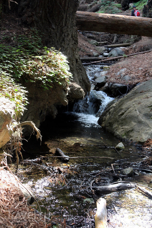 :  Big Sur /   