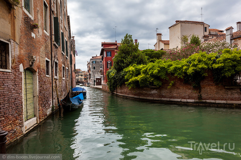 Италия. Венеция / Фото из Италии