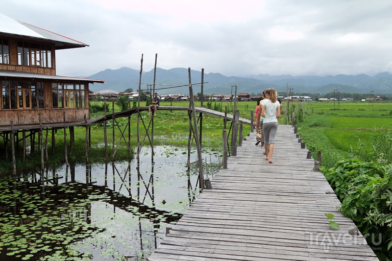 Озеро Инле: фабрика лотосного шелка / Мьянма