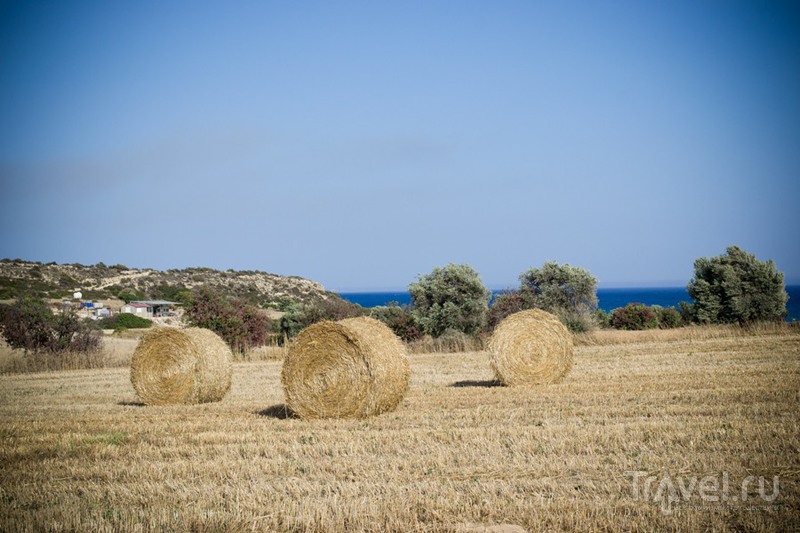 Кипр. Писсури и Милада / Фото с Кипра
