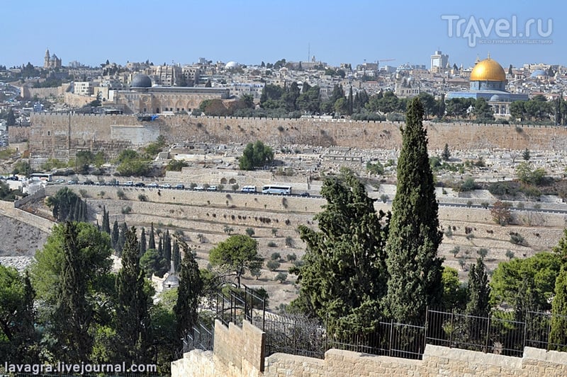 Иерусалимскими дорогами в поисках чудес / Фото из Израиля