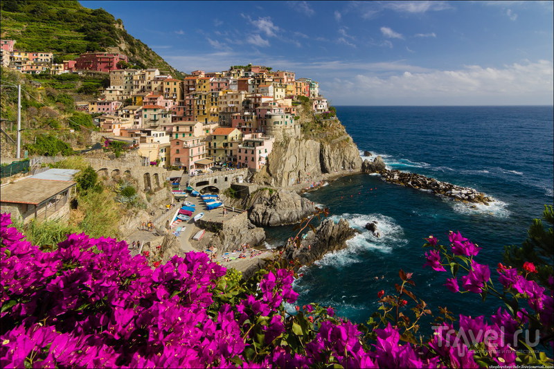 Manarola -    /   