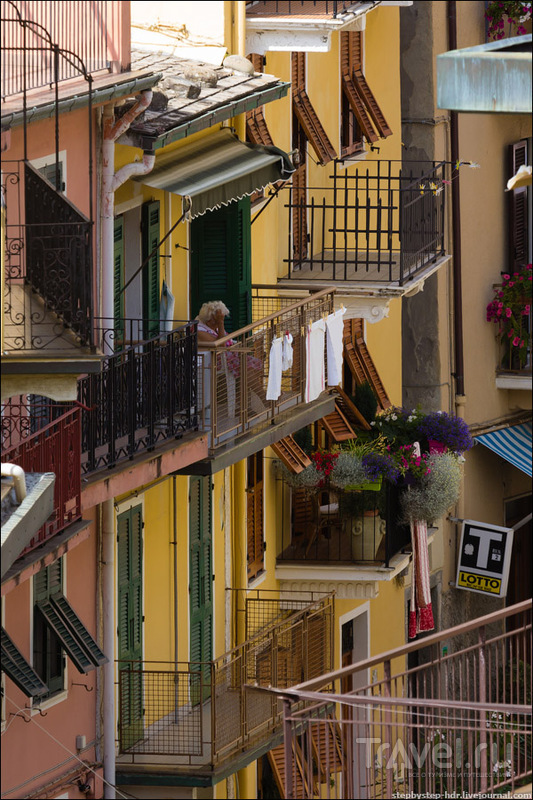 Manarola -    /   