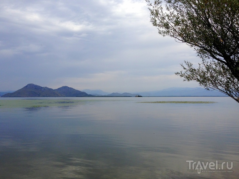 Вид на Скадарское озеро с пляжа / Фото из Черногории