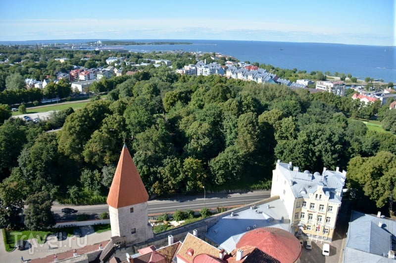 Как выглядит Таллин сверху? / Эстония