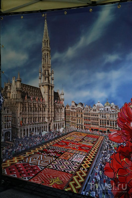 Цветочный ковер в Брюсселе / Бельгия