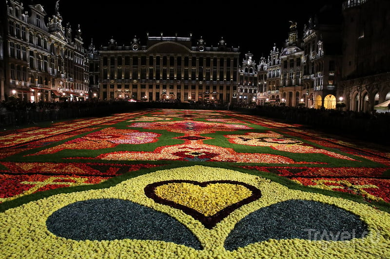 Цветочный ковер в Брюсселе / Бельгия