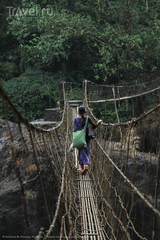 Живые мосты Черрапунджи. Между Мокшей и Нирваной / Фото из Индии