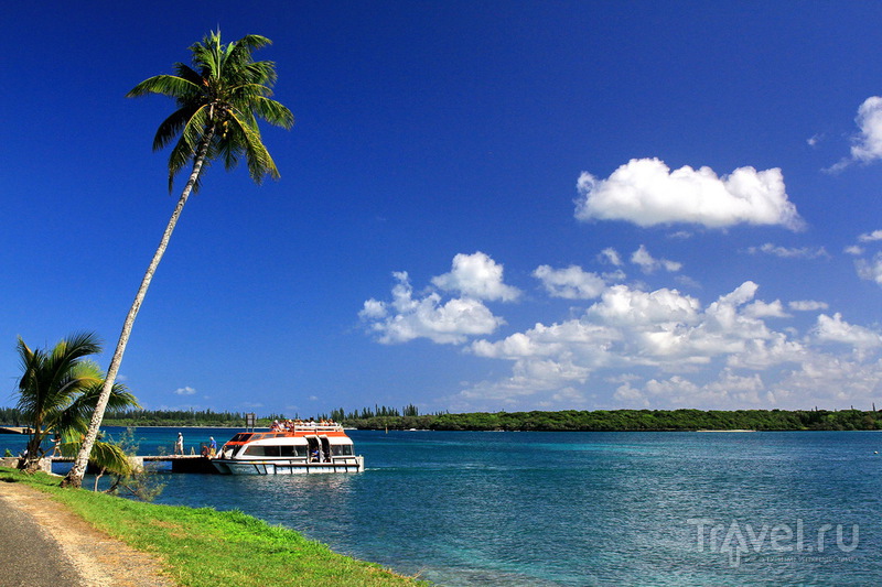Новая Каледония, остров Иль-де-Пин / Фото из Новой Каледонии