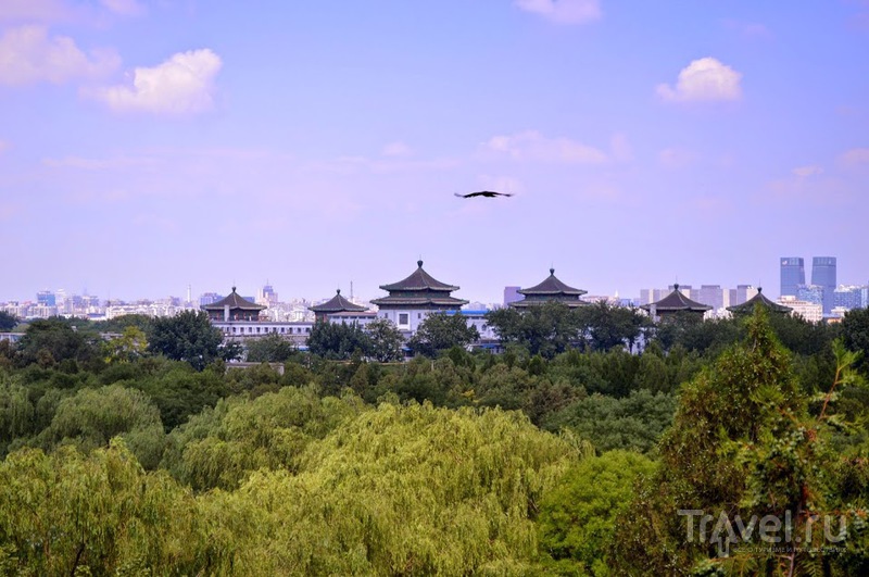 Площадь Тяньаньмэнь, Запретный город (Гугун) и парк Бэйхай / Китай