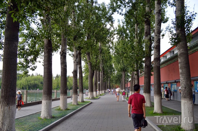 Площадь Тяньаньмэнь, Запретный город (Гугун) и парк Бэйхай / Китай