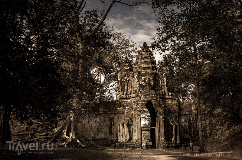 Камбоджа. Ангкор / Камбоджа
