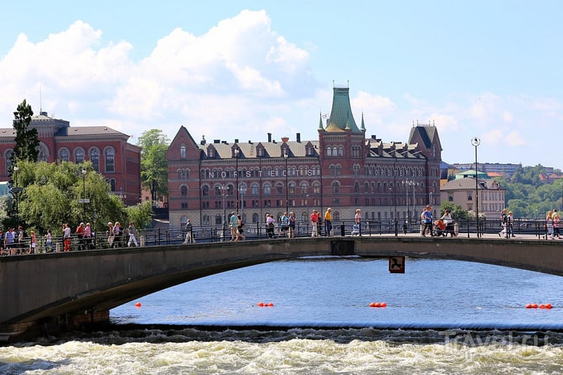 Стокгольм в начале лета / Фото из Швеции